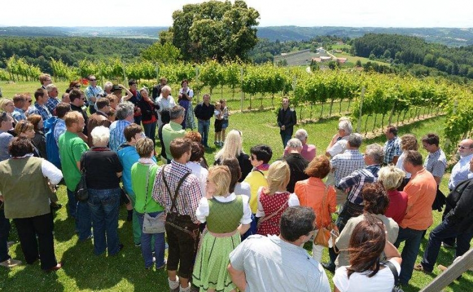 weingut-maurerat--article-1566-0.jpeg